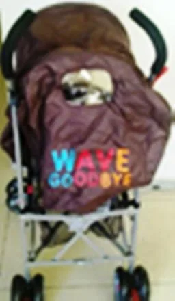 Pushchair