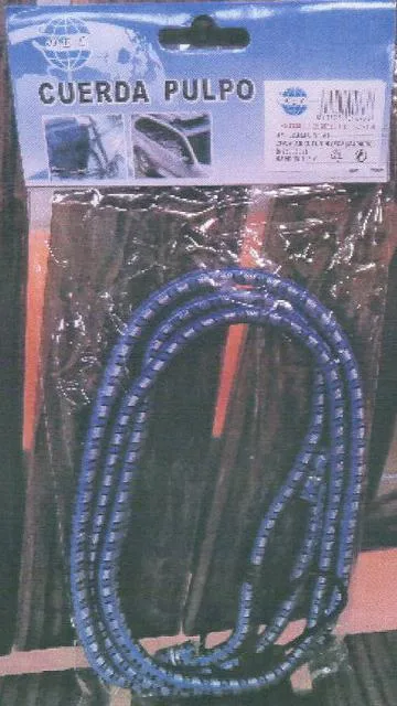 Elastic strap