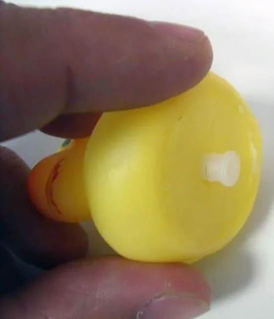 Toy ducks