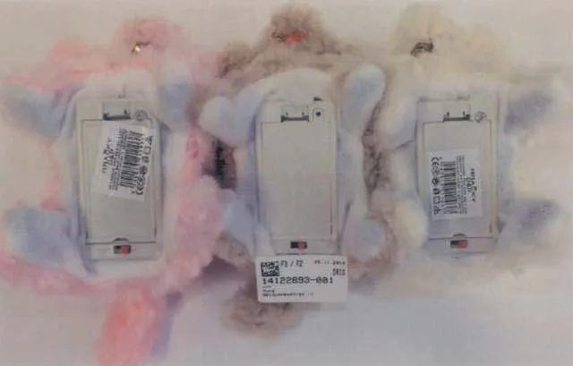Soft toy dog