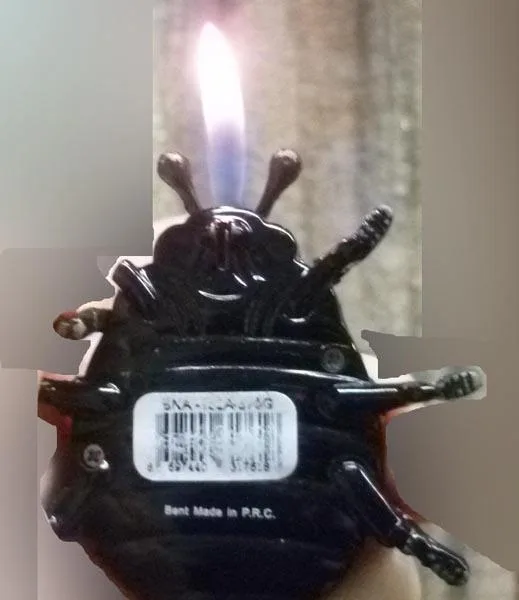 Novelty lighter