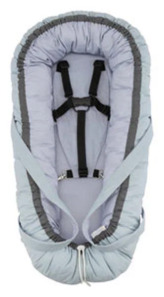 Baby nest and carrier