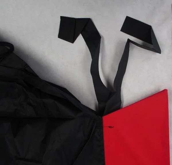 Fancy-dress costume