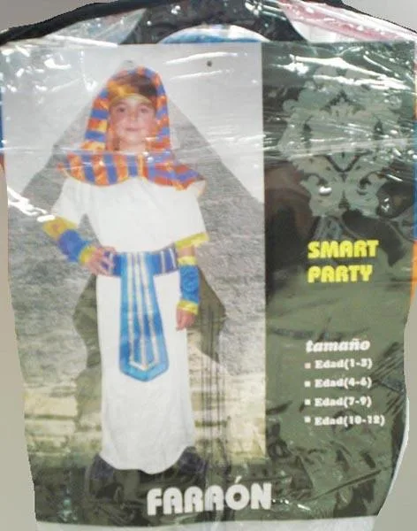 Fancy-dress costume