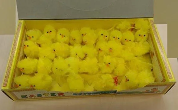 Toy chicks