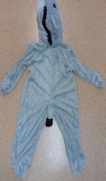Fancy-dress costume