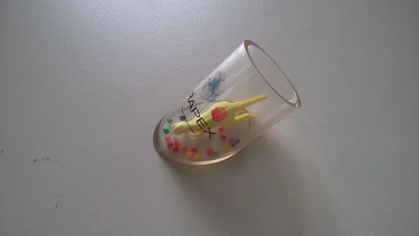 Expandable toys