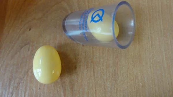 Push-along toy