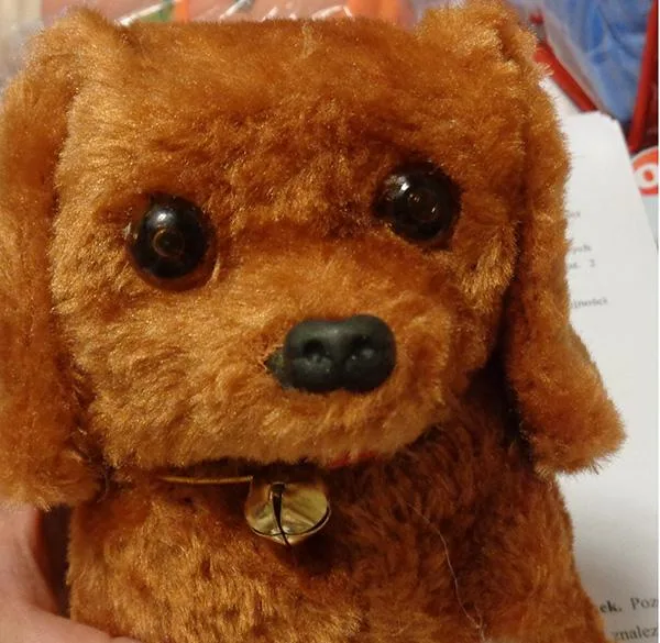 Toy dog