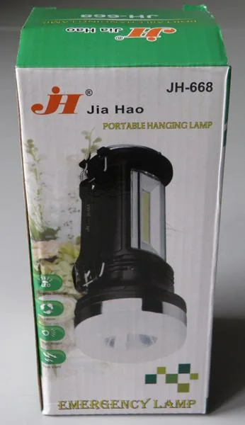 Portable LED lamp/torch