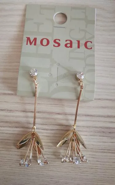 Earrings