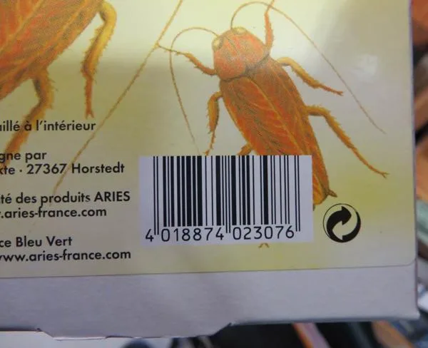 Insect trap