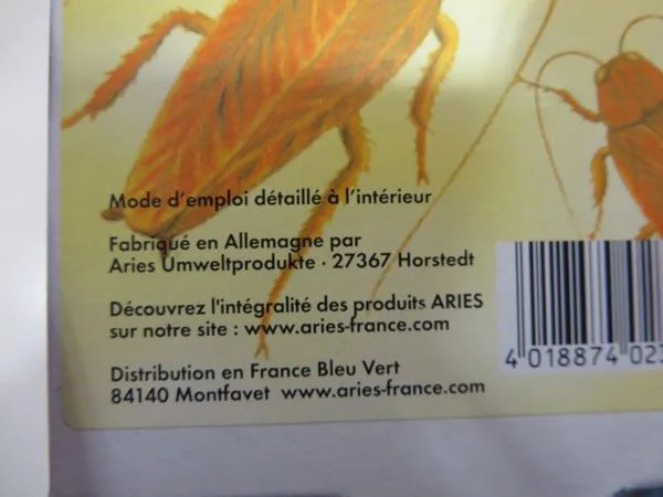 Insect trap