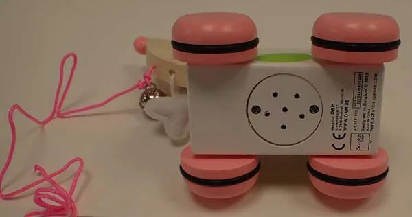 Pull-along toy