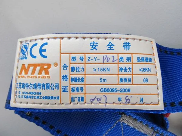 Climbing harness