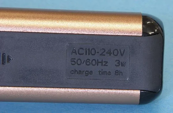 Electric shaver
