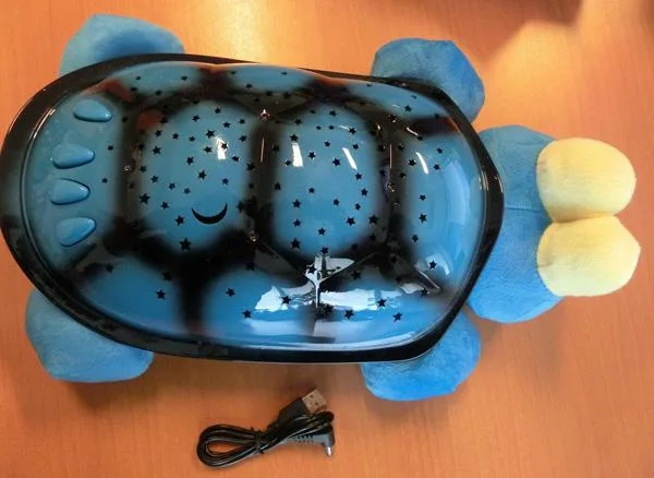 Plastic turtle