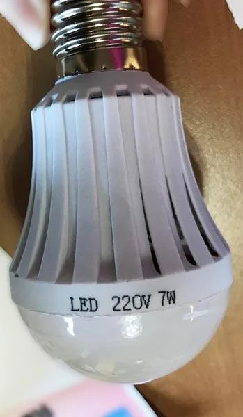 LED bulb with battery