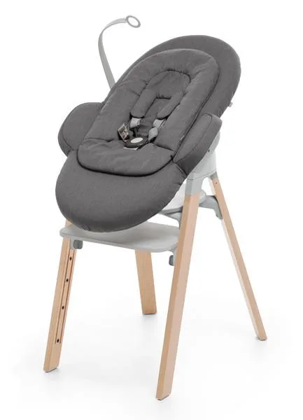 Baby bouncer