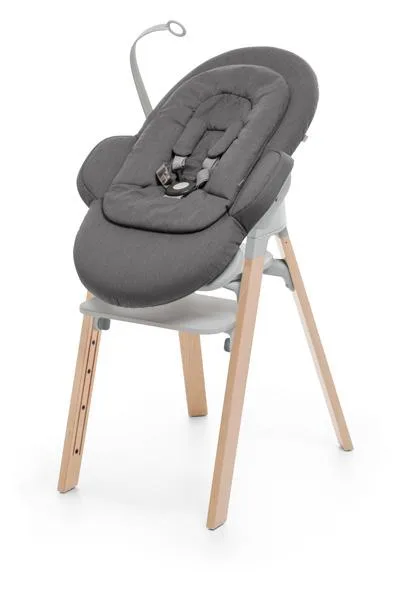 Baby bouncer