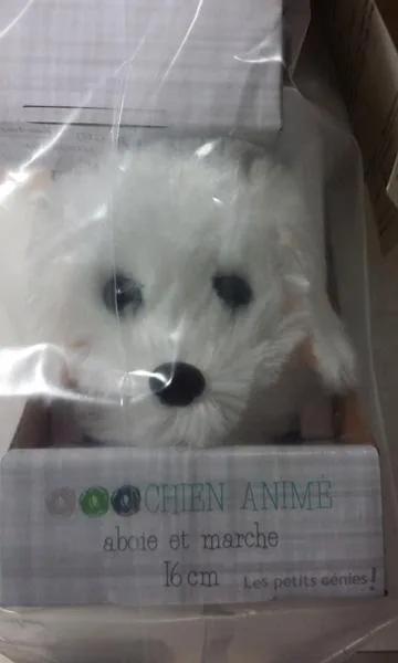 Interactive soft toy
