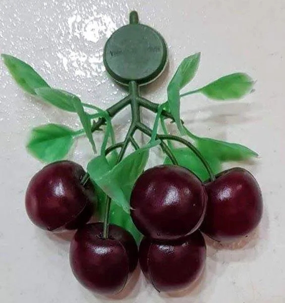 Decorative fridge magnet