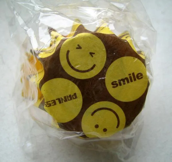 Fridge magnet