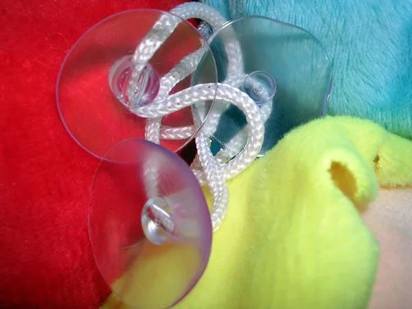 Soft toy with suction cup