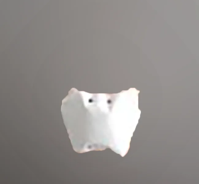 Particle filter mask