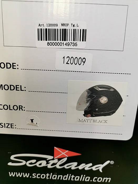 Motorcycle helmet