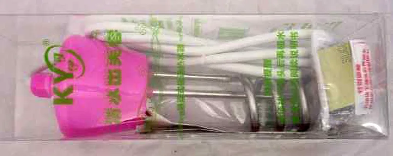 Portable immersion heater