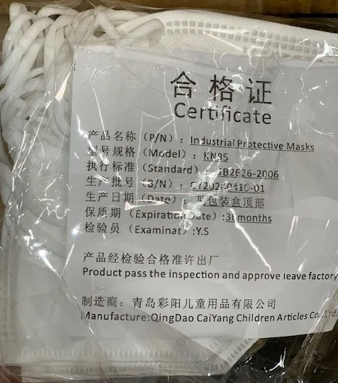 Particle filter mask