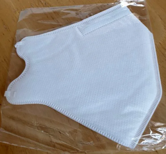 Particle filter mask