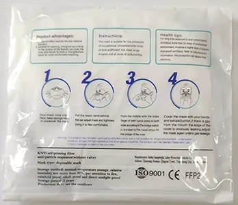 Particle filter mask