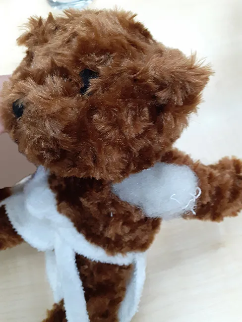 Teddy Bear