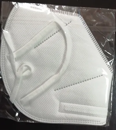 Particle filter mask