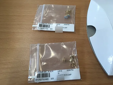 Earrings