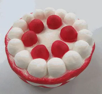 Squeezy Cake (Knautsch Torte)