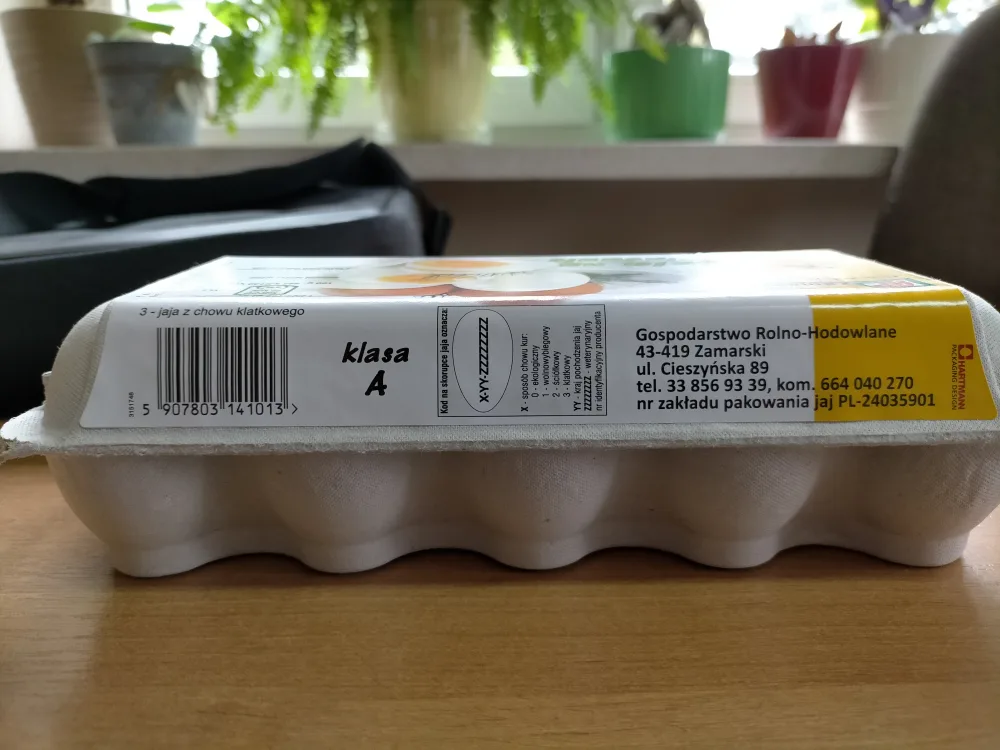 Ostrzeżenie publiczne dotyczące żywności: Stwierdzenie Salmonella spp. na powierzchni skorupek jaj konsumpcyjnych