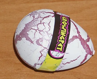 Expandable toy