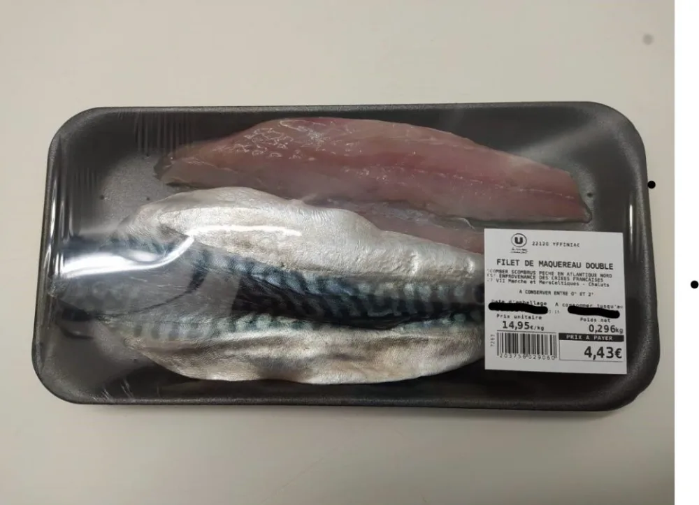 Filet de maquereau