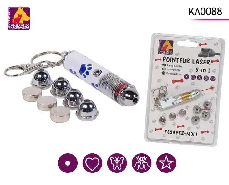Pointeur laser
