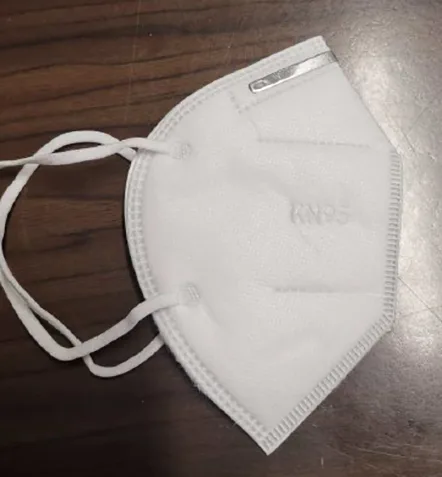 Particle filter mask