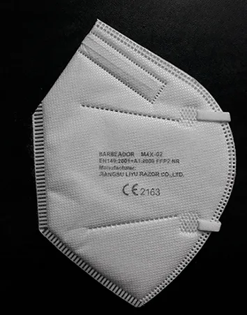 Particle filter mask