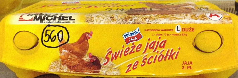 Ostrzeżenie publiczne dotyczące żywności: Stwierdzenie Salmonella Enteritidis na powierzchni skorupek jaj konsumpcyjnych