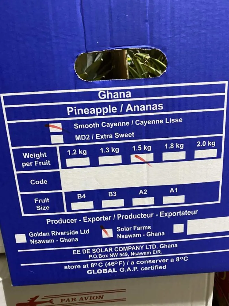 Ananas avion cayenne