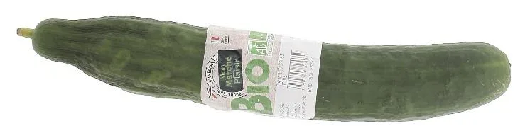 Concombre bio