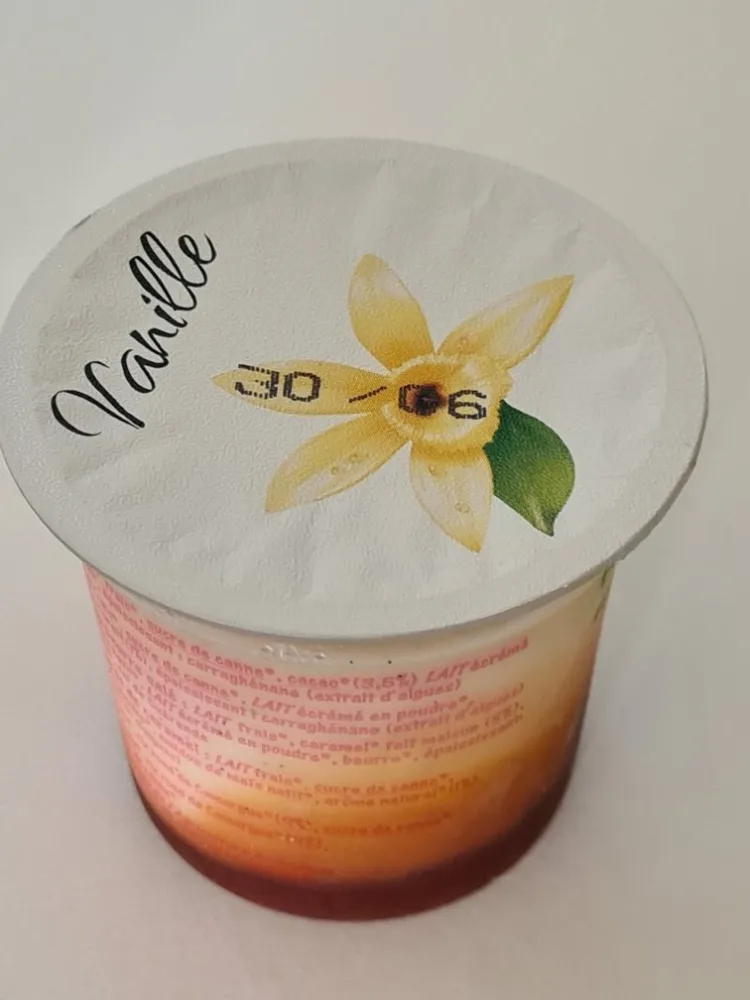 Crème dessert à la vanille