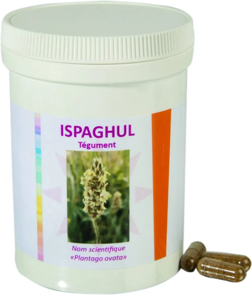 Ispaghul