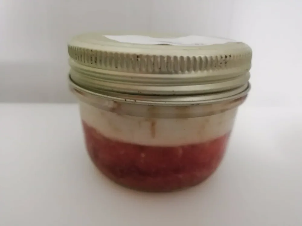 Terrine d oie